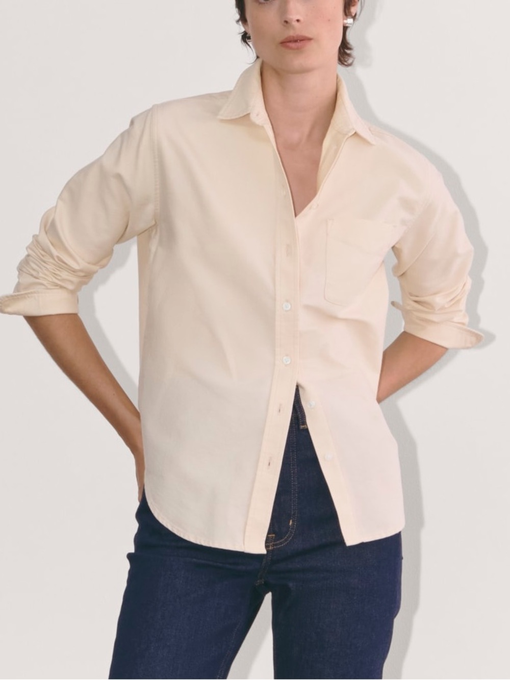 EVERLANE The Must have Oxford Shirt
